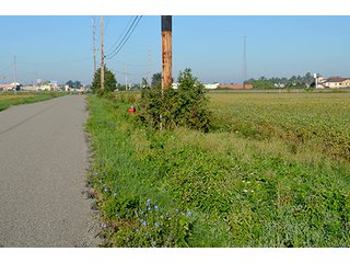 PROPERTY #3 - REAL ESTATE AUCTION IN MERCER COUNTY, OHIO